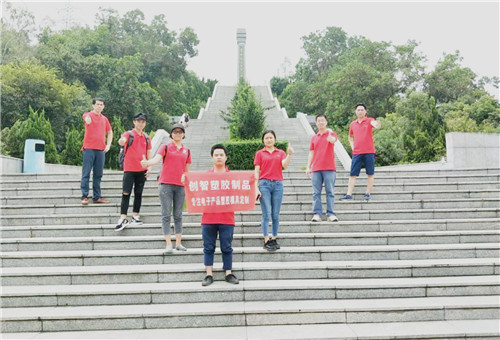 注塑模具有限公司 注塑模具有限公司