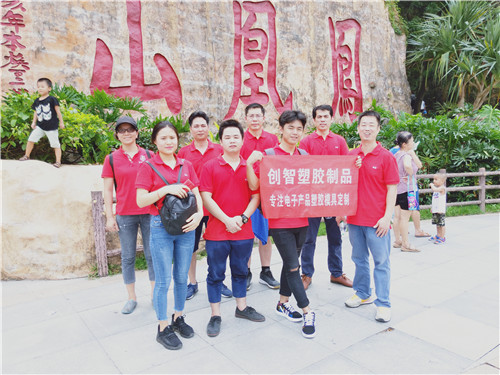 注塑模具有限公司 注塑模具有限公司