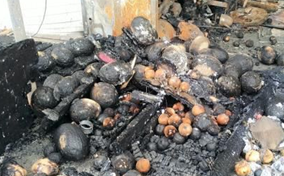 火災(zāi)現(xiàn)場被燒焦的水果 火災(zāi)現(xiàn)場被燒焦的水果